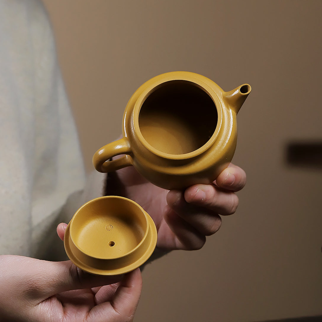 Sketch Dezhong Zisha pot golden cinnabar mud