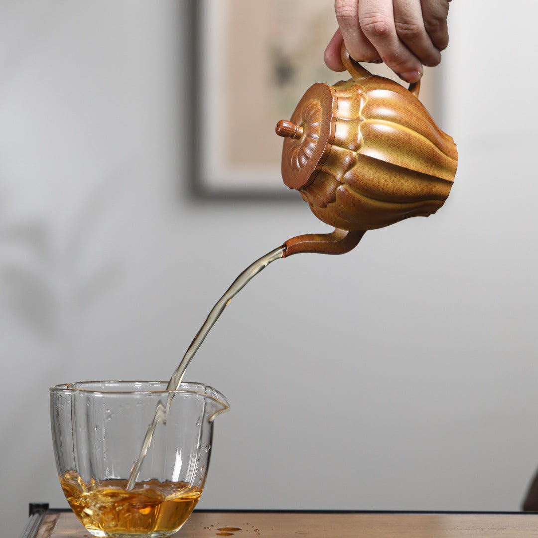Gaolinghua Yixing Zisha Teapot, Duan Clay, 250 ml