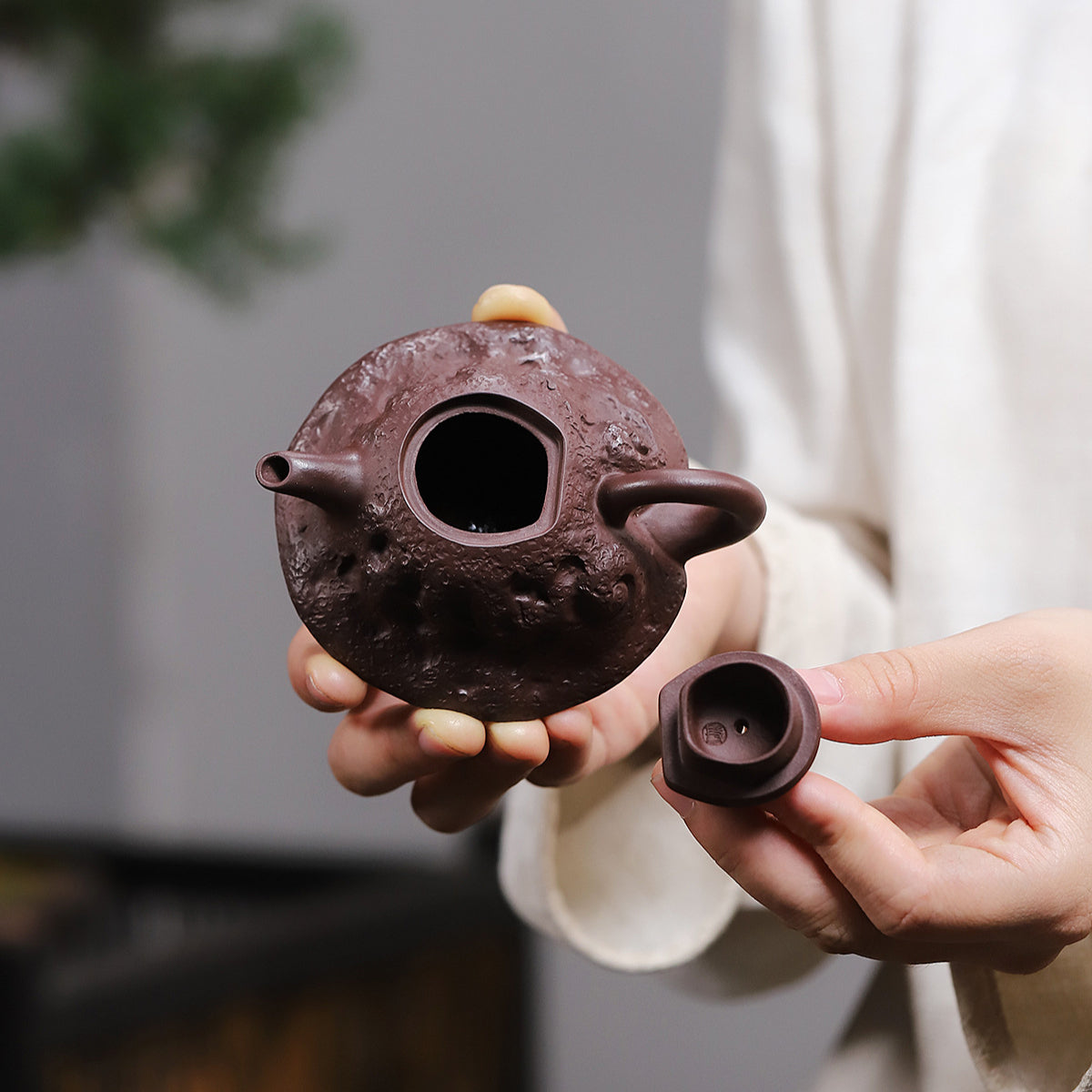 Ganoderma lucidum flower ware purple clay pot raw ore purple eggplant mud