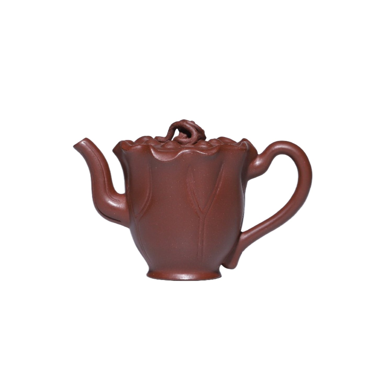 Lotus Seed Teapot Yixing Zisha Teapot 250ml Hongpilo clay