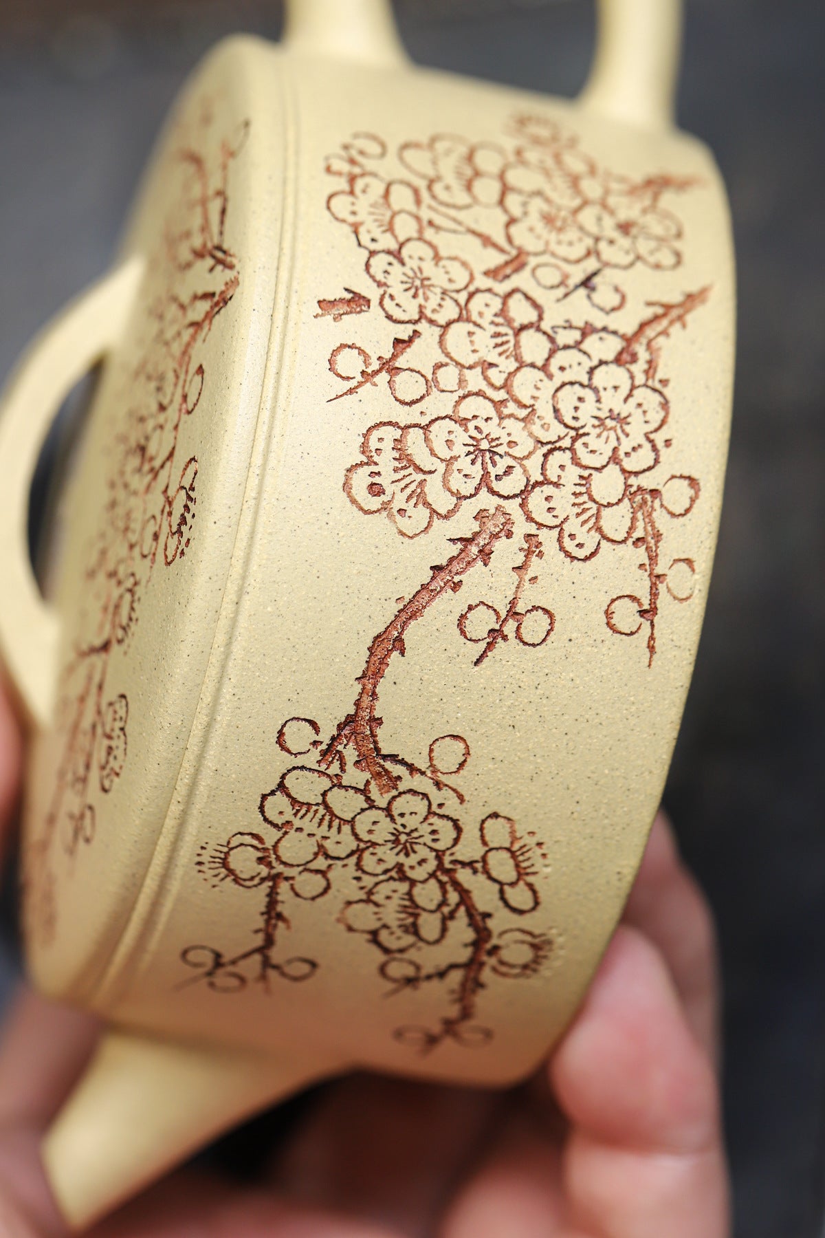 Plum Blossom Hanwa Zisha Teapot, Jiangpo Clay, 170 ml