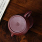 Hanwa Purple Clay Teapot 260 ml