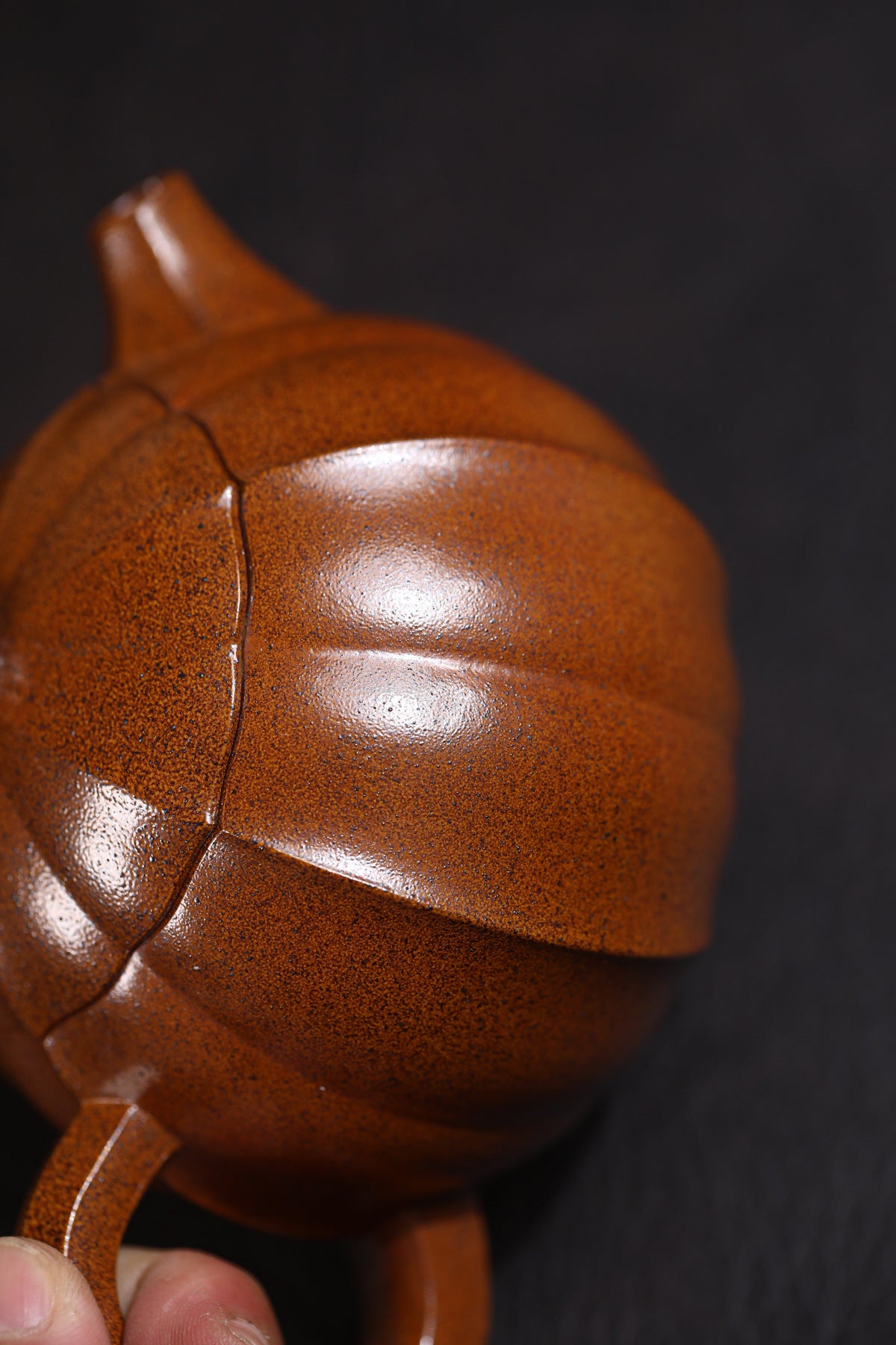 Xishi Teapot in Fired Duanni Clay, 230 ml