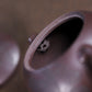 Songqu Xishi Purple Clay Zisha Pot
