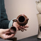 Longdan Duoqiu Zisha Teapot, Jiangpo Clay, 170 ml
