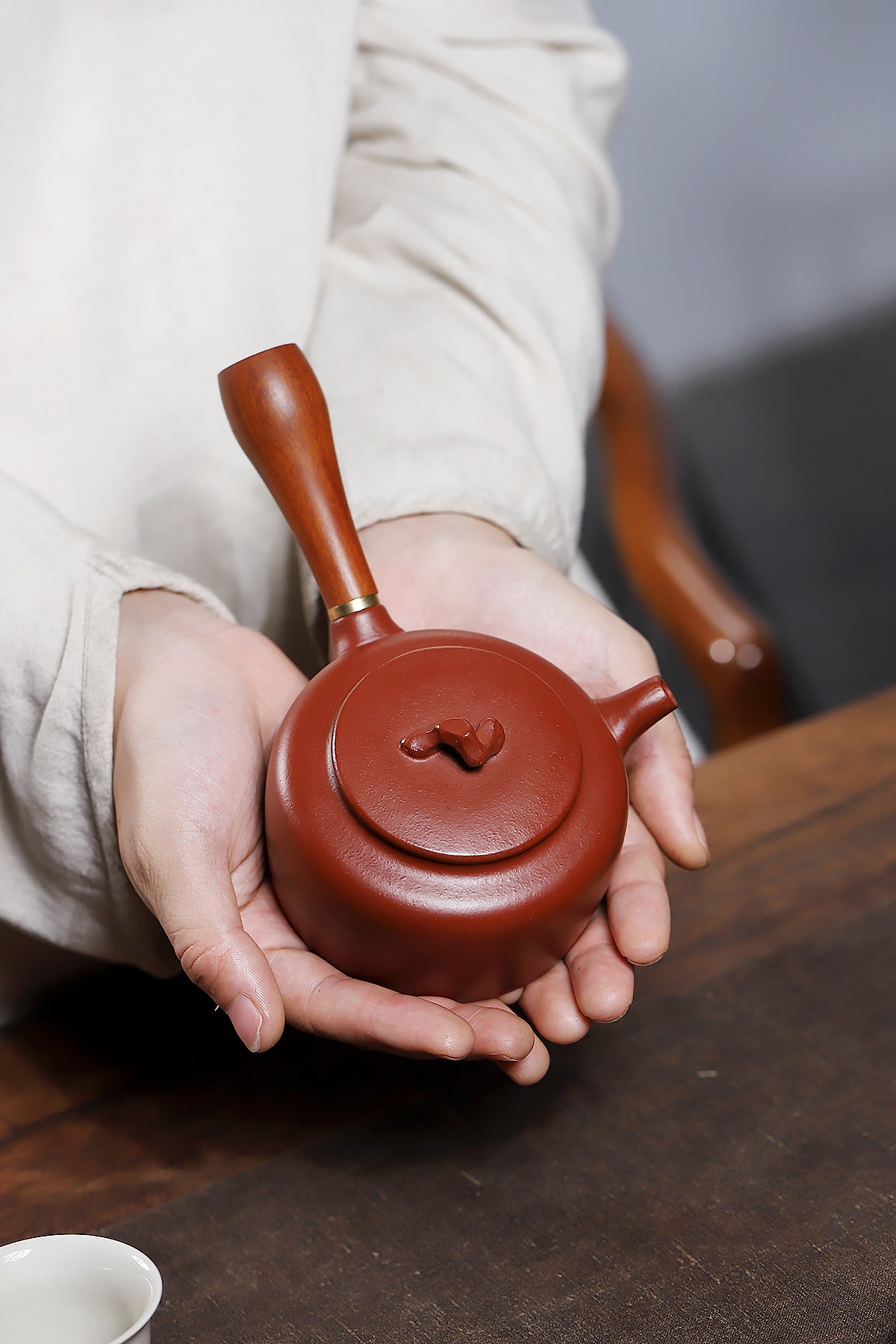 Taihu stone Tang Yu, Zhu Ni Zisha pot