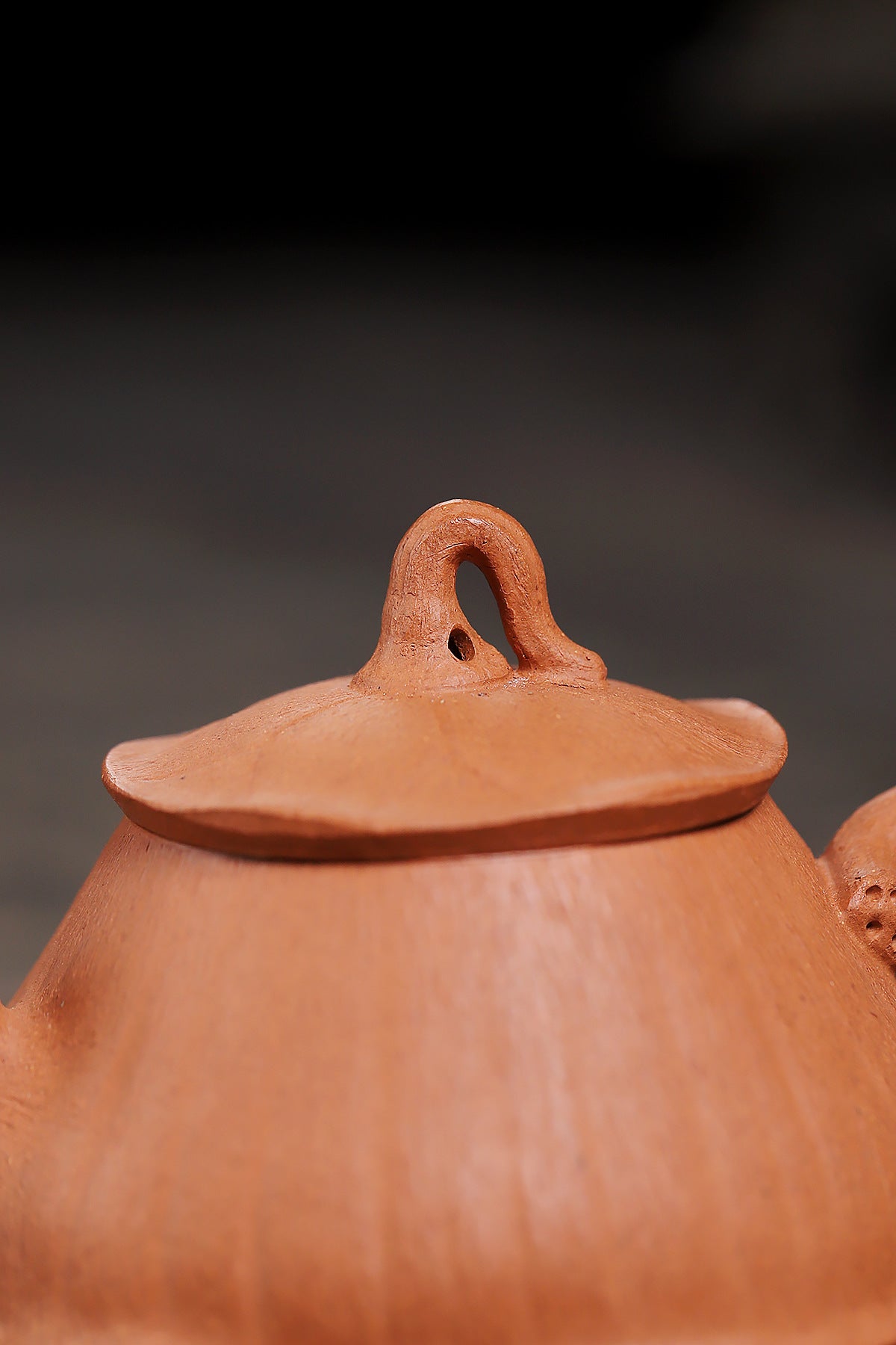 Lotus pod pot yellow downhill purple sand teapot