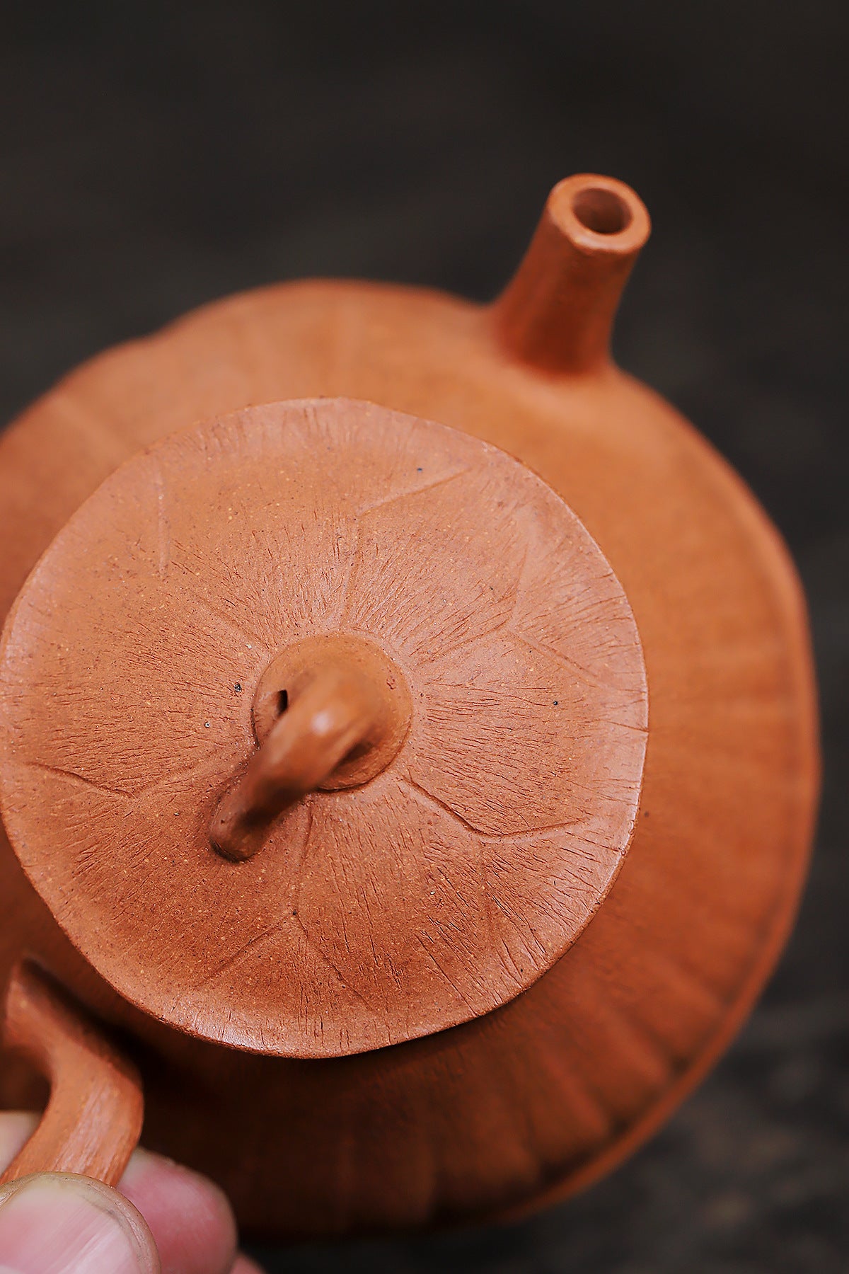 Lotus pod pot yellow downhill purple sand teapot