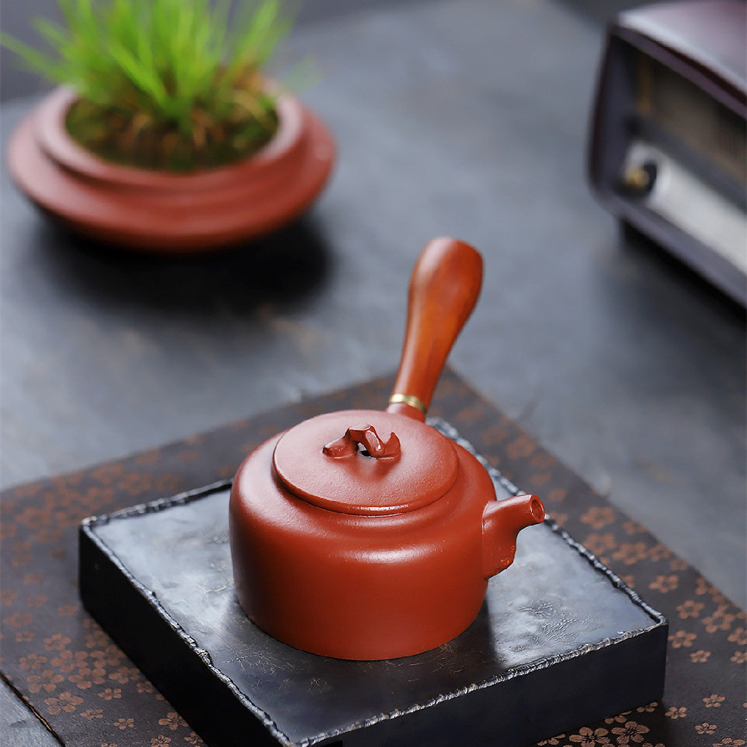 Taihu stone Tang Yu, Zhu Ni Zisha pot