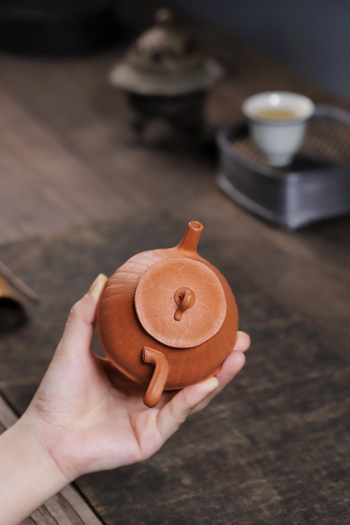 Lotus pod pot yellow downhill purple sand teapot