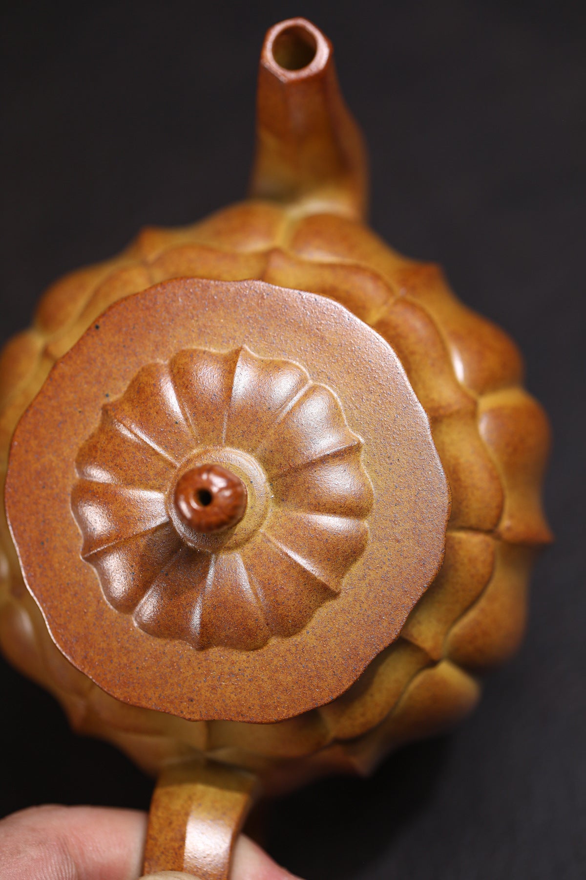 Gaolinghua Yixing Zisha Teapot, Duan Clay, 250 ml