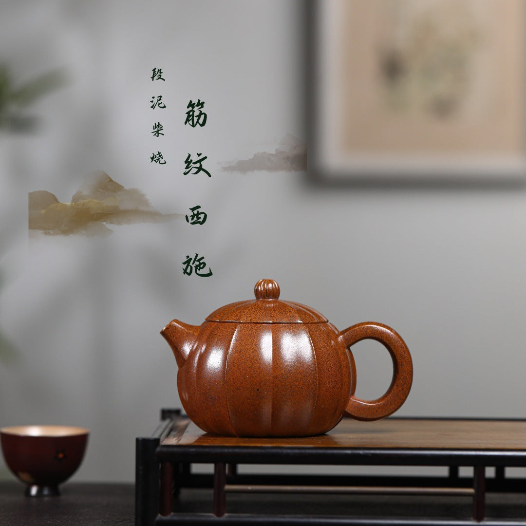 Xishi Teapot in Fired Duanni Clay, 230 ml