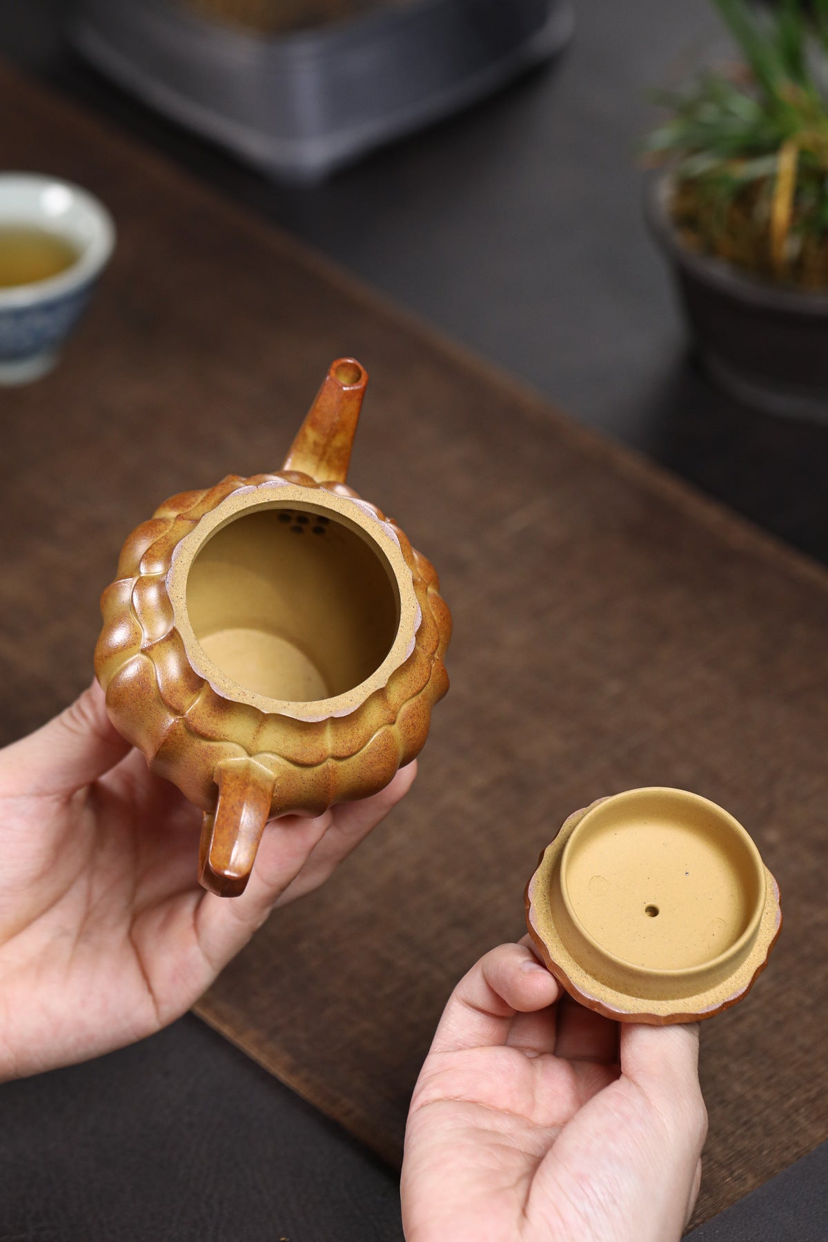 Gaolinghua Yixing Zisha Teapot, Duan Clay, 250 ml