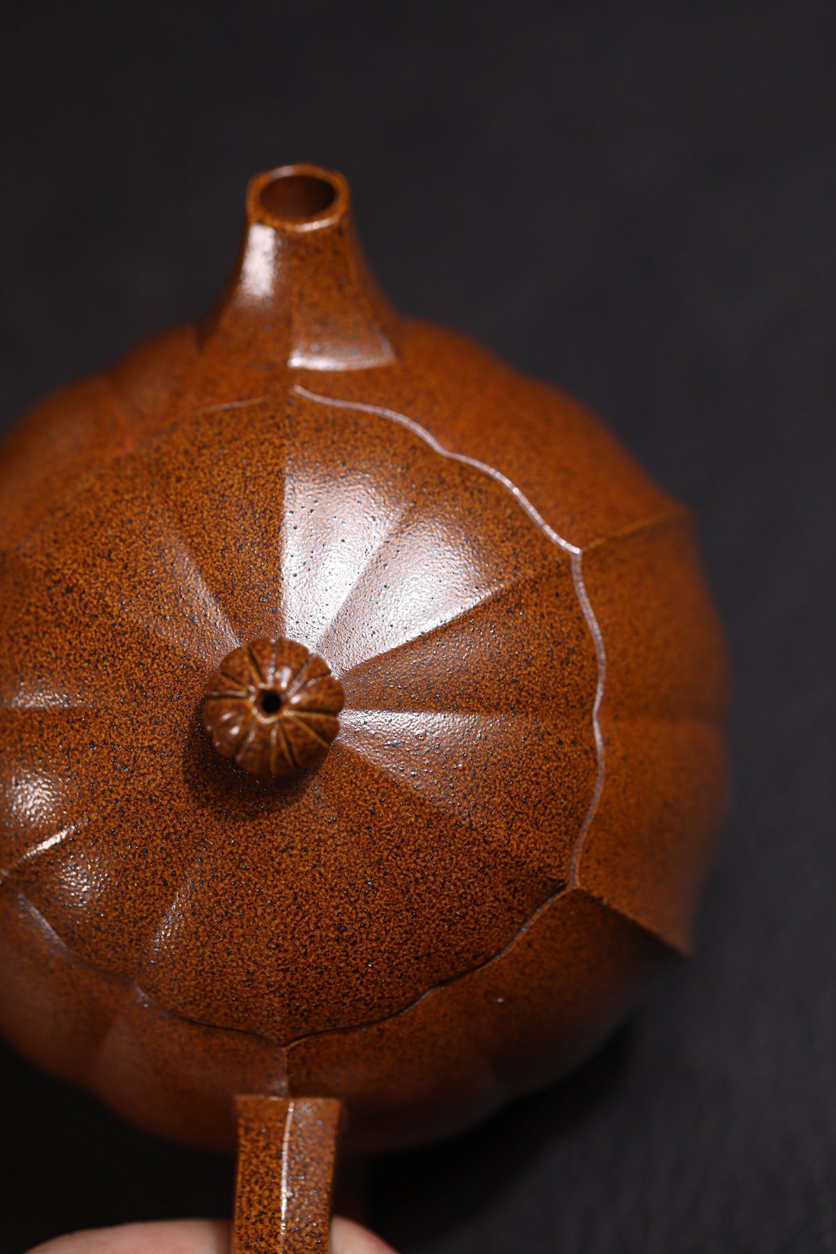 Xishi Teapot in Fired Duanni Clay, 230 ml